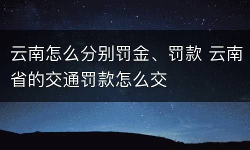云南怎么分别罚金、罚款 云南省的交通罚款怎么交