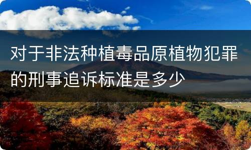 对于非法种植毒品原植物犯罪的刑事追诉标准是多少