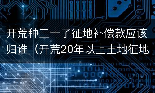 开荒种三十了征地补偿款应该归谁（开荒20年以上土地征地补偿款归谁）