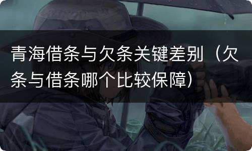 青海借条与欠条关键差别（欠条与借条哪个比较保障）