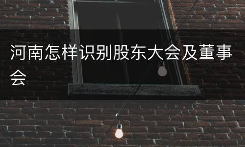 河南怎样识别股东大会及董事会