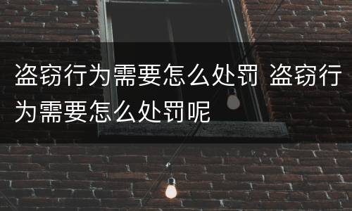 盗窃行为需要怎么处罚 盗窃行为需要怎么处罚呢