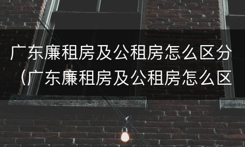 广东廉租房及公租房怎么区分（广东廉租房及公租房怎么区分的）