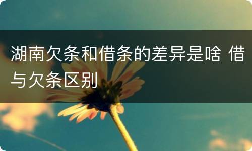 湖南欠条和借条的差异是啥 借与欠条区别