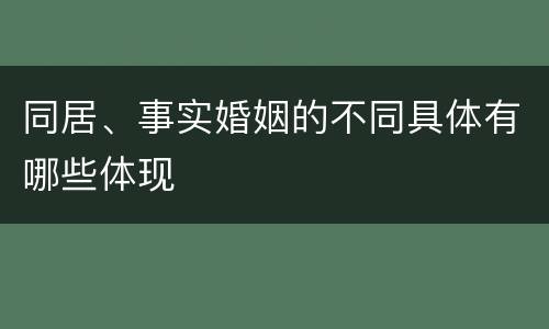 同居、事实婚姻的不同具体有哪些体现
