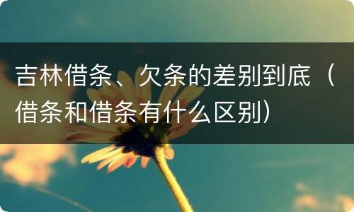 吉林借条、欠条的差别到底（借条和借条有什么区别）