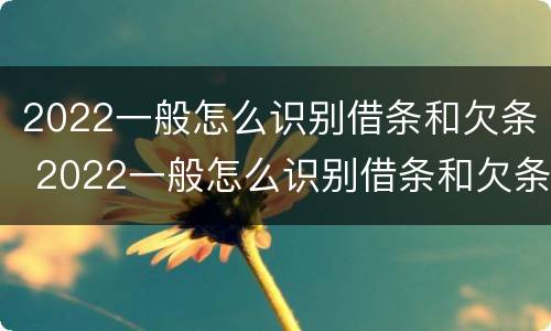 2022一般怎么识别借条和欠条 2022一般怎么识别借条和欠条的真假