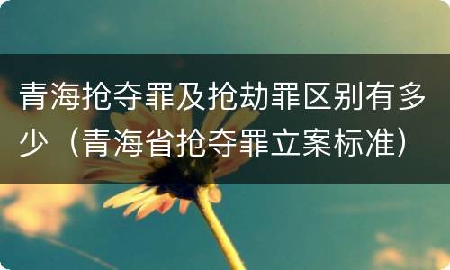 青海抢夺罪及抢劫罪区别有多少（青海省抢夺罪立案标准）