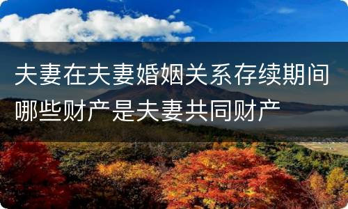 夫妻在夫妻婚姻关系存续期间哪些财产是夫妻共同财产