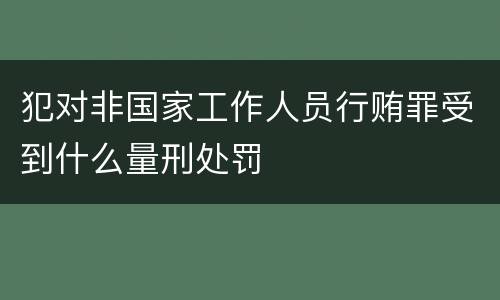 犯对非国家工作人员行贿罪受到什么量刑处罚
