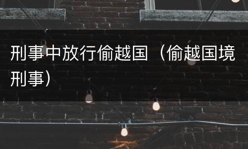 刑事中放行偷越国（偷越国境刑事）