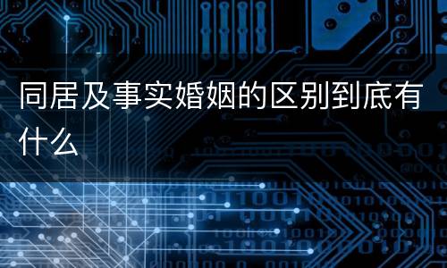 同居及事实婚姻的区别到底有什么