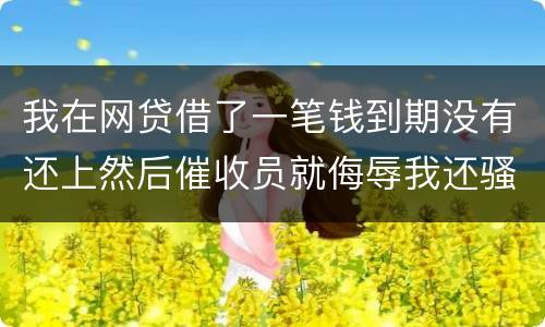我在网贷借了一笔钱到期没有还上然后催收员就侮辱我还骚扰我朋友圈