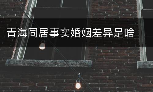 青海同居事实婚姻差异是啥