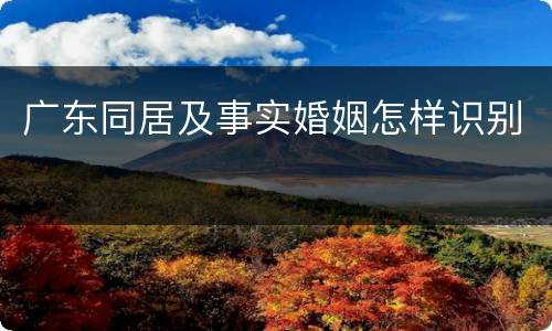 广东同居及事实婚姻怎样识别