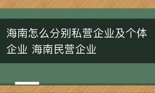 海南怎么分别私营企业及个体企业 海南民营企业