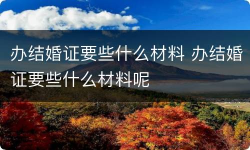 办结婚证要些什么材料 办结婚证要些什么材料呢