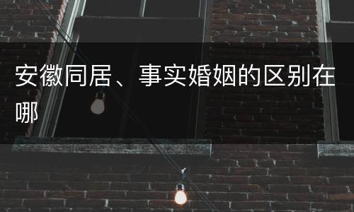 安徽同居、事实婚姻的区别在哪