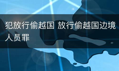 犯放行偷越国 放行偷越国边境人员罪