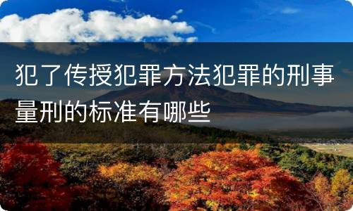 犯了传授犯罪方法犯罪的刑事量刑的标准有哪些