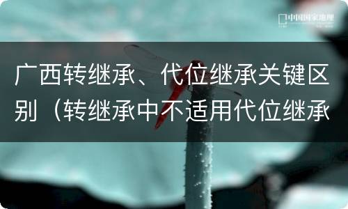 广西转继承、代位继承关键区别（转继承中不适用代位继承）