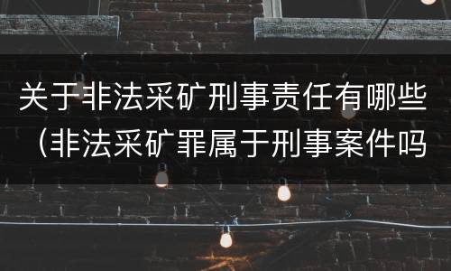 关于非法采矿刑事责任有哪些（非法采矿罪属于刑事案件吗）