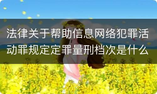 法律关于帮助信息网络犯罪活动罪规定定罪量刑档次是什么