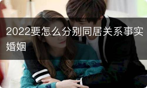 2022要怎么分别同居关系事实婚姻