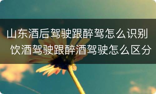 山东酒后驾驶跟醉驾怎么识别 饮酒驾驶跟醉酒驾驶怎么区分