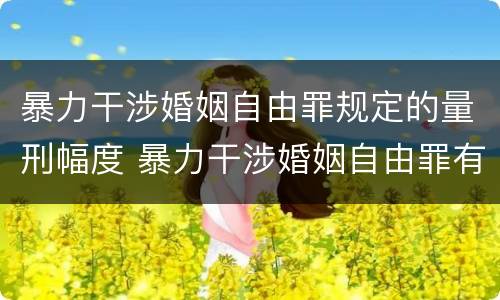 暴力干涉婚姻自由罪规定的量刑幅度 暴力干涉婚姻自由罪有结果加重犯吗