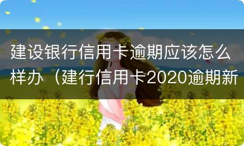 建设银行信用卡逾期应该怎么样办（建行信用卡2020逾期新规）