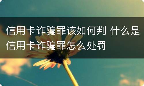 信用卡诈骗罪该如何判 什么是信用卡诈骗罪怎么处罚
