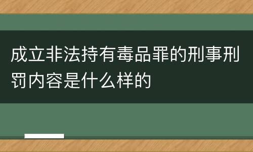 成立非法持有毒品罪的刑事刑罚内容是什么样的
