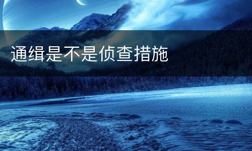 通缉是不是侦查措施