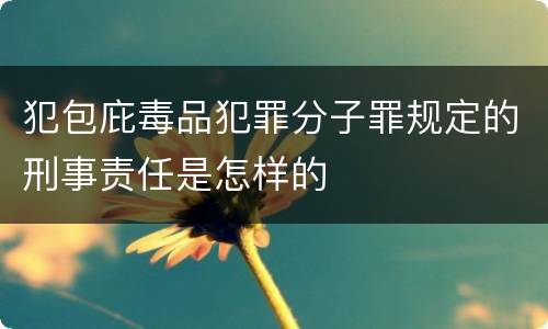 犯包庇毒品犯罪分子罪规定的刑事责任是怎样的
