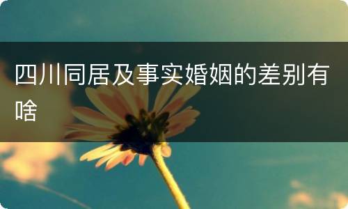四川同居及事实婚姻的差别有啥