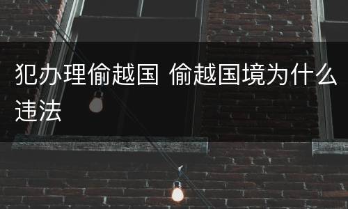 犯办理偷越国 偷越国境为什么违法
