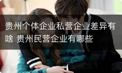 贵州个体企业私营企业差异有啥 贵州民营企业有哪些