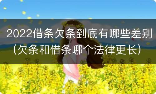 2022借条欠条到底有哪些差别（欠条和借条哪个法律更长）