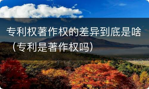 专利权著作权的差异到底是啥（专利是著作权吗）
