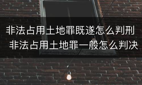 非法占用土地罪既遂怎么判刑 非法占用土地罪一般怎么判决