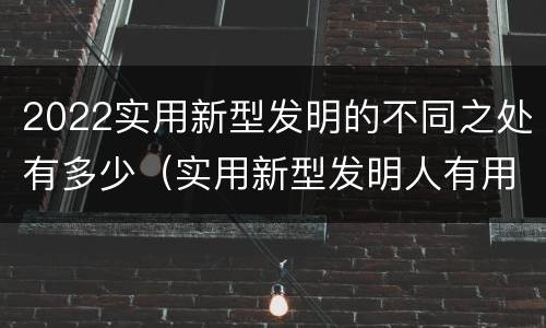 2022实用新型发明的不同之处有多少（实用新型发明人有用吗）