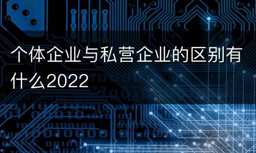 个体企业与私营企业的区别有什么2022