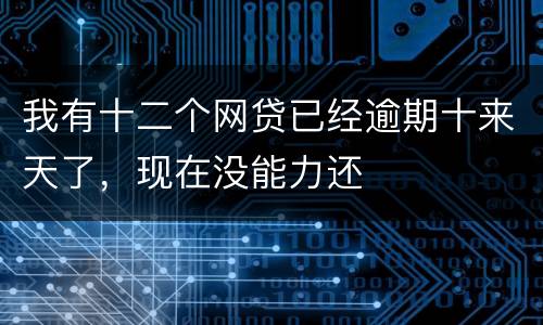 我有十二个网贷已经逾期十来天了，现在没能力还