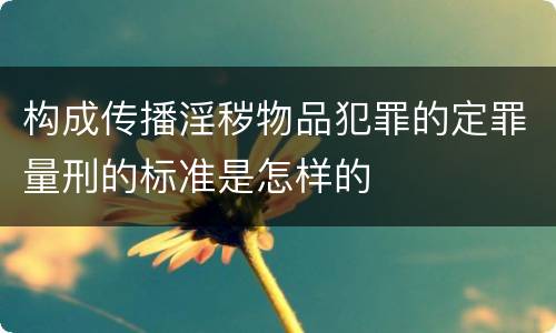 构成传播淫秽物品犯罪的定罪量刑的标准是怎样的