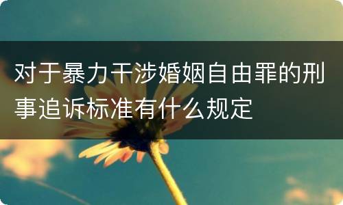 对于暴力干涉婚姻自由罪的刑事追诉标准有什么规定