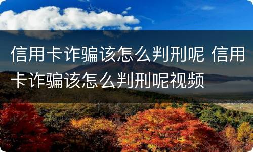 信用卡诈骗该怎么判刑呢 信用卡诈骗该怎么判刑呢视频