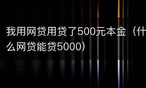 我用网贷用贷了500元本金（什么网贷能贷5000）