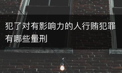 犯了对有影响力的人行贿犯罪有哪些量刑