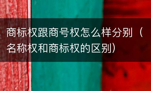 商标权跟商号权怎么样分别（名称权和商标权的区别）